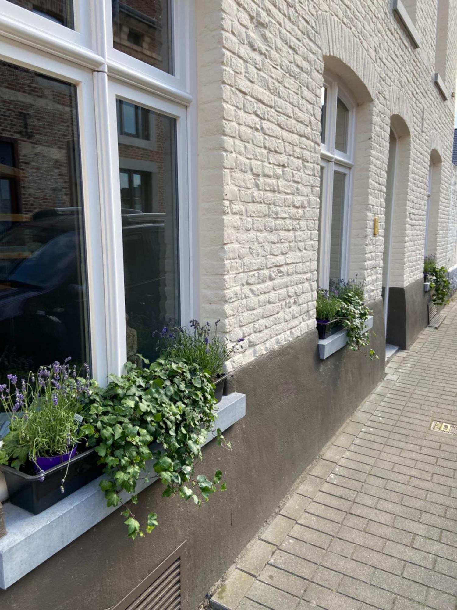 Begijnhofstudio'S Tongeren Eksteriør billede